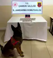 Çankırı'da 116 Aranan Şahıs Yakalandı