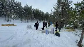 Çankırı'da Yabani Hayvanlar Kışa Hazırlandı