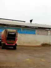 Aşıdan Kaçan Dana Çatıda!