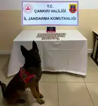 Çankırı'da 116 Suçlu Yakalandı, 11'i Tutuklu