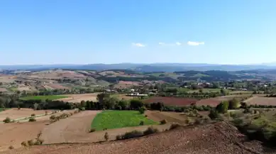Çankırı'da Rekor Çeltik Hasadı