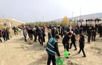 Ormanlaştırma Çalışmasıyla Doğa Canlandı