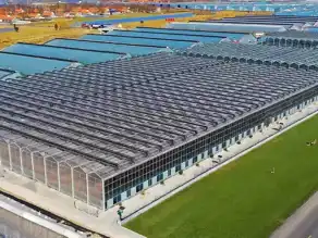 Çankırı'ya Tarıma Dayalı Sera OSB