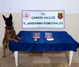 Çankırı'da Çoklu Operasyon: Tutuklamalar ve Uyuşturucu Ele Geçirildi