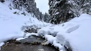 Ilgaz Dağı'nda Kışın Büyülü Doğa