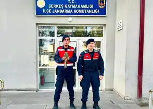 Yaralı Kuş Kurtarıldı