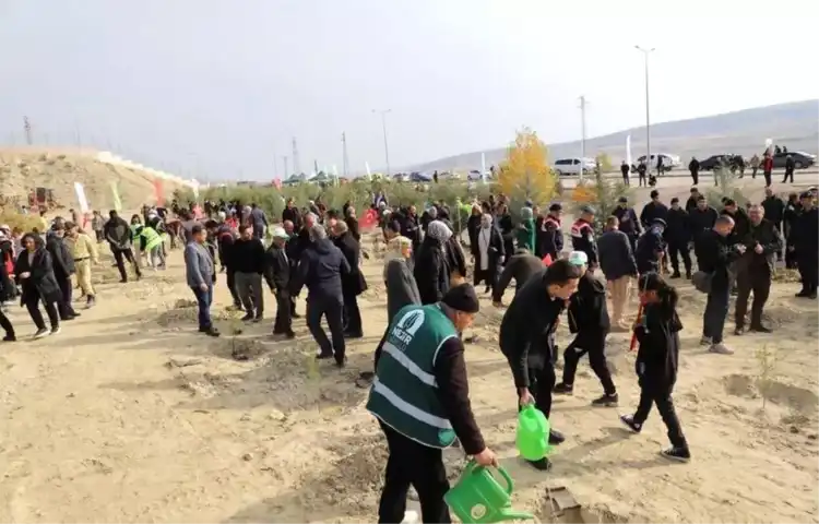 Ormanlaştırma Çalışmasıyla Doğa Canlandı