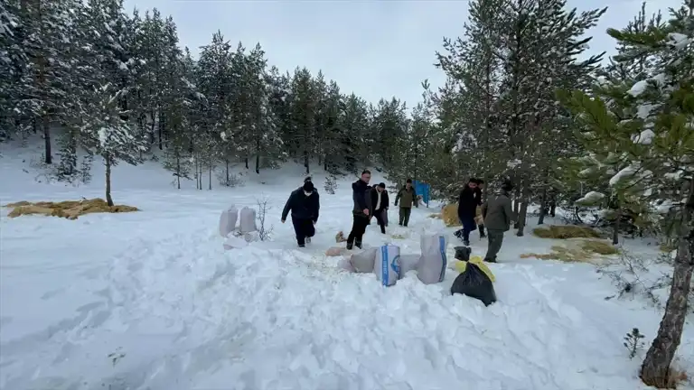 Çankırı'da Yabani Hayvanlar Kışa Hazırlandı