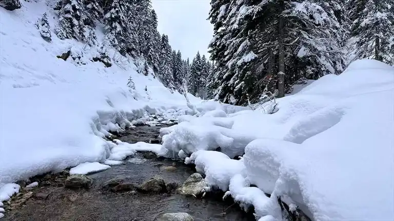 Ilgaz Dağı'nda Kışın Büyülü Doğa
